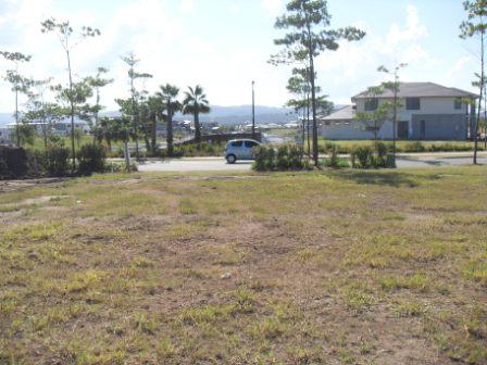 LAKE VIEWS AT 'RIVERLINKS' Picture 1