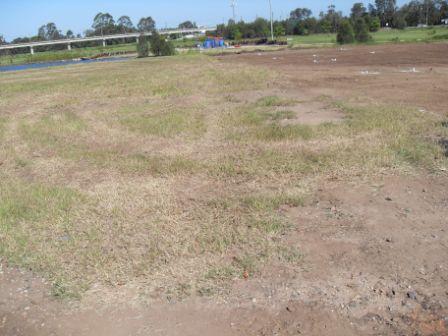 LAKE VIEWS AT 'RIVERLINKS' Picture 2