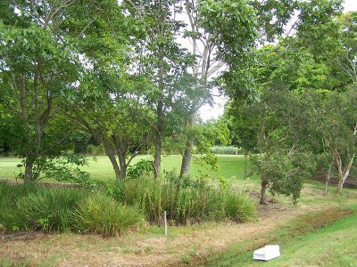 Golf Course Frontage Picture