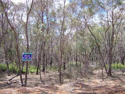 8.00ha of Prime Land Picture 1