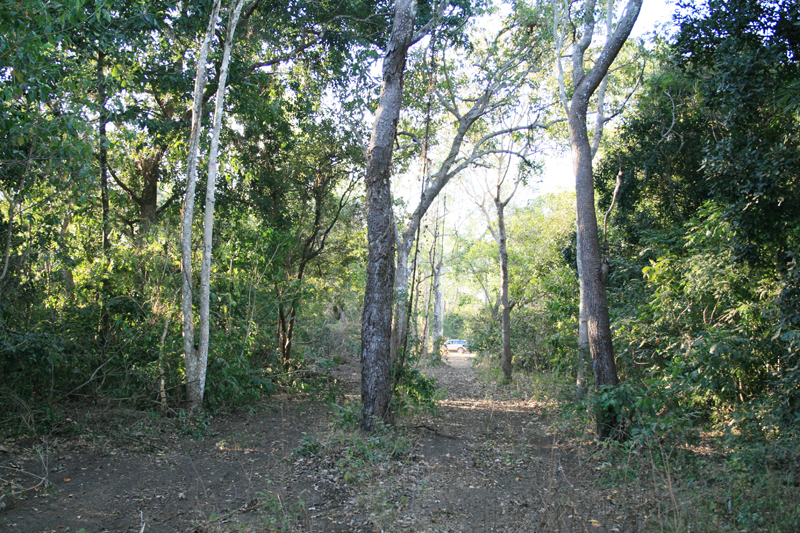 Short Distance to Beach Picture 2