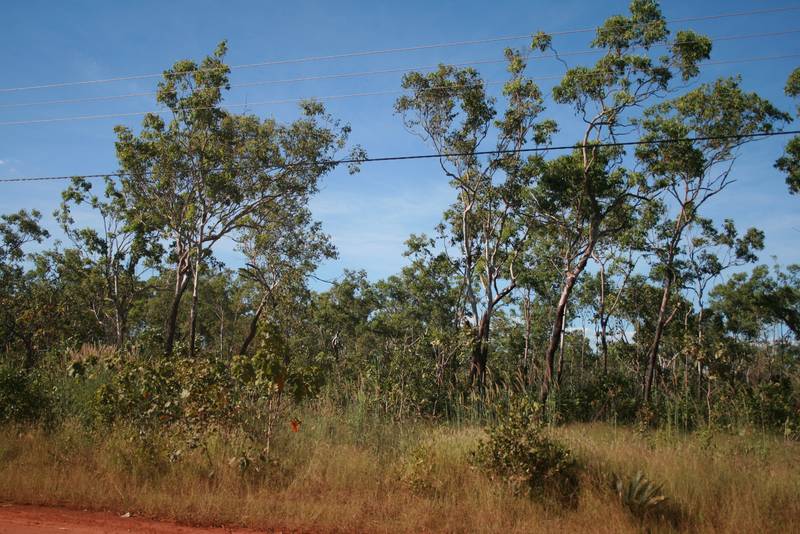 Short Distance to Beach Picture 1