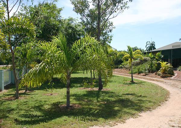 Relax and enjoy a tropical rural lifestyle on the edge of Darwin Picture