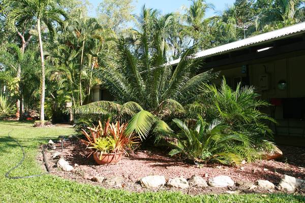 Tropical Garden Spectacular Picture Tropical Garden Spectacular Picture