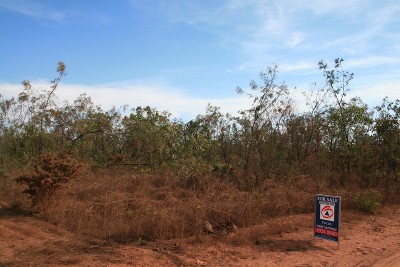 High and Dry Block Picture