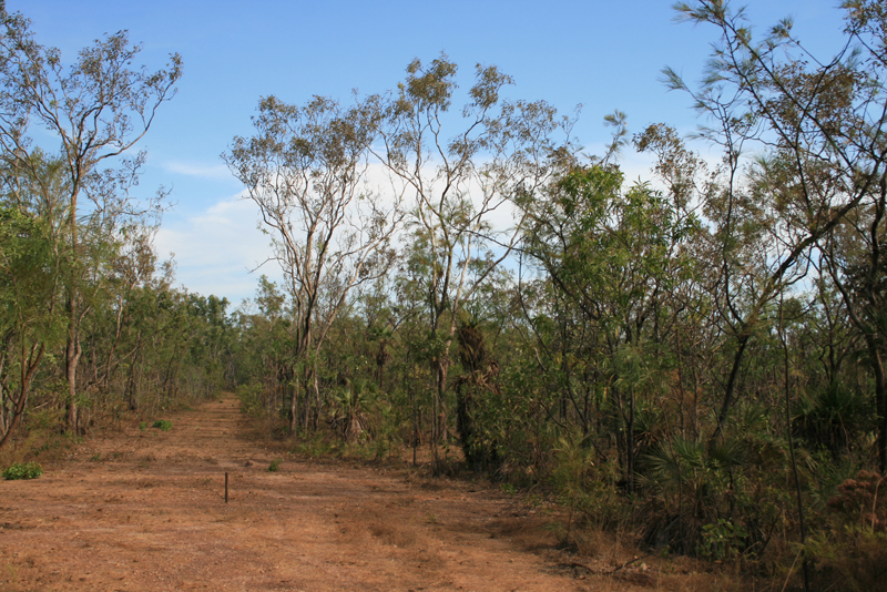 High and Dry Block Picture 2