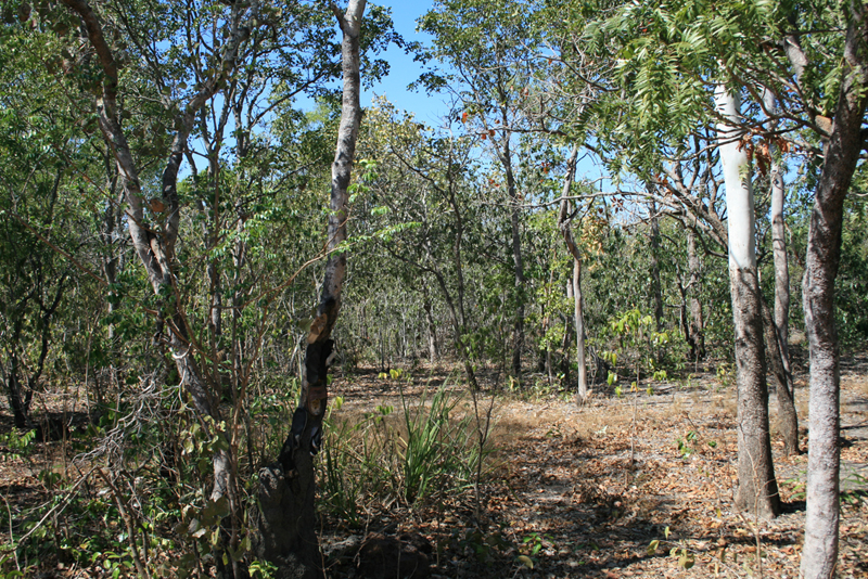 Bore Allowed Picture 2