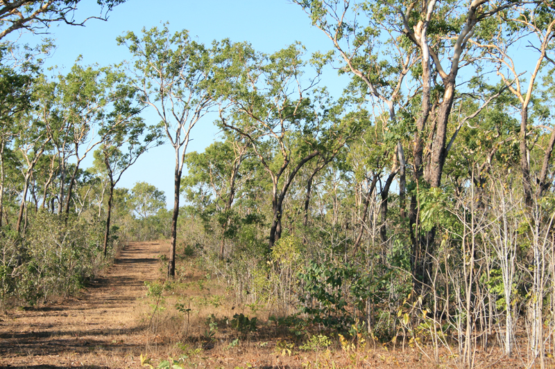 Great Views Picture 2