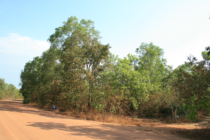 Bush Block Picture 1