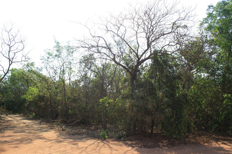 Bush Block Picture 3