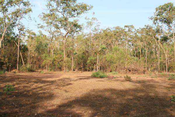 Corner Block Picture