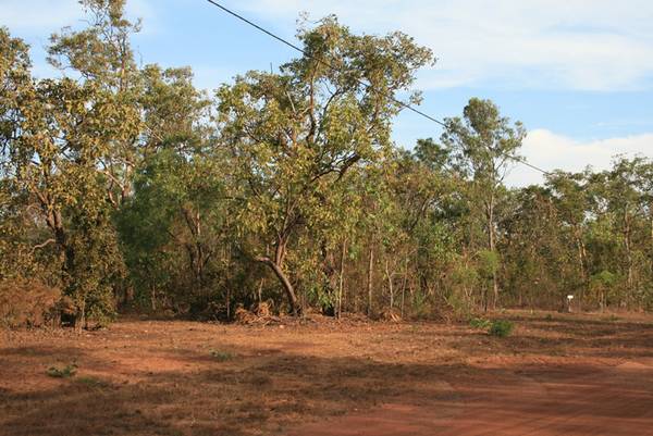 Corner Block Picture