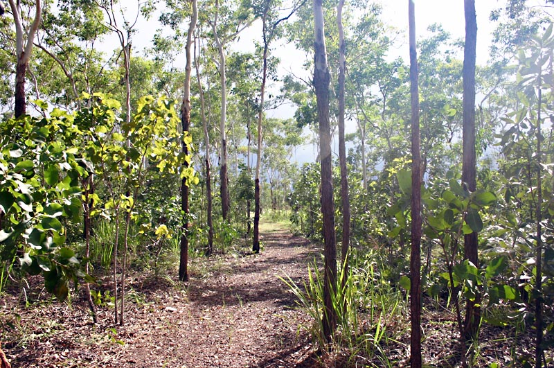 Premium Block in exclusive Woodlea Estate Picture 1