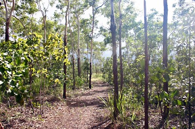 Premium Block in exclusive Woodlea Estate Picture