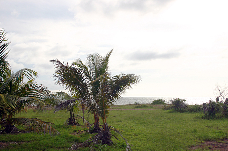 Life's a beach Picture 2