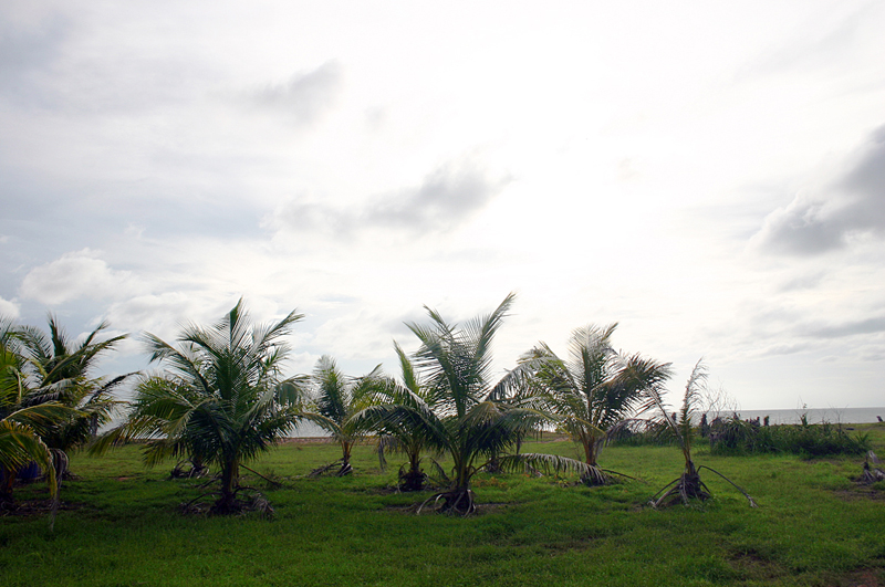 Life's a beach Picture 1