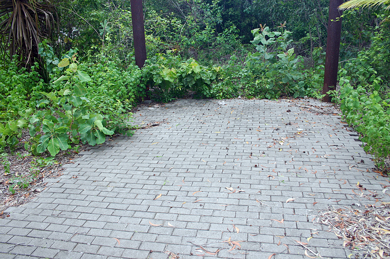 Walk to Beach Picture 1