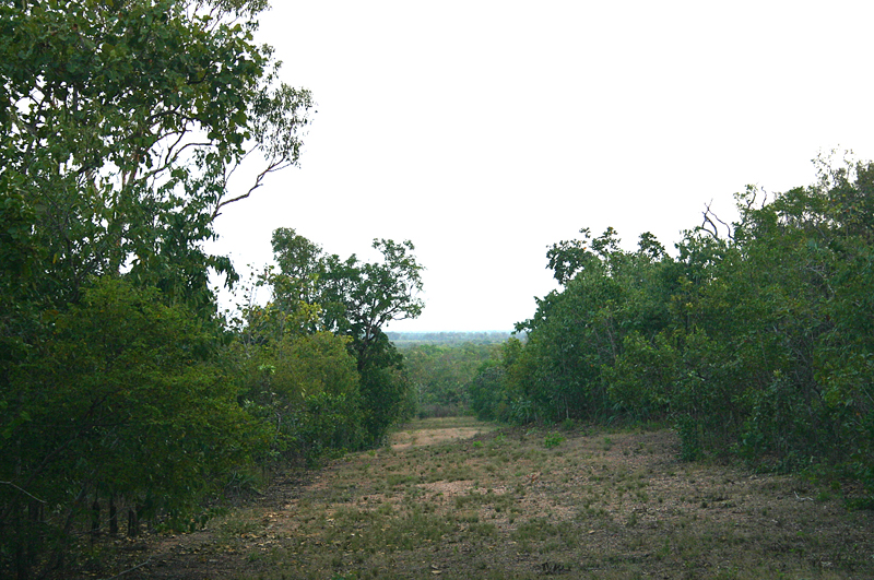 Great Block Picture 2