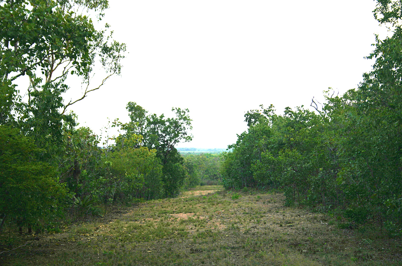 Great Block Picture 1