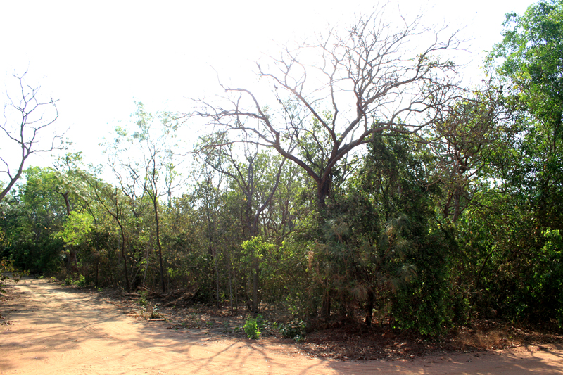 Vacant Block Picture 2