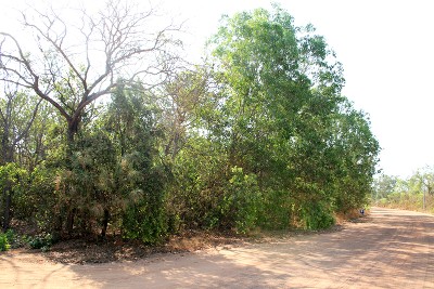 Vacant Block Picture