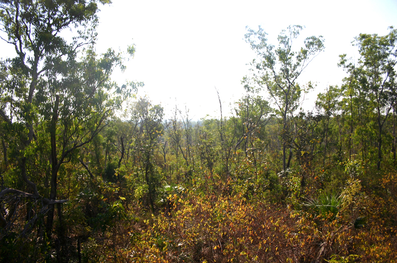 Waterfalls on your Doorstep Picture 3
