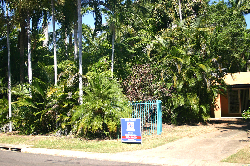 Easy Living in this Beautiful Street Picture 2