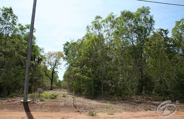 Walk To The Beach Picture 3