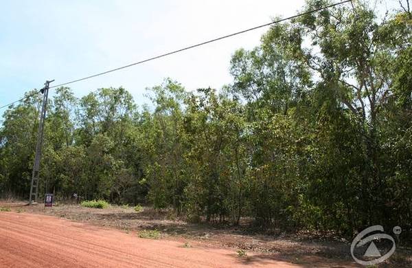 Walk To The Beach Picture 2