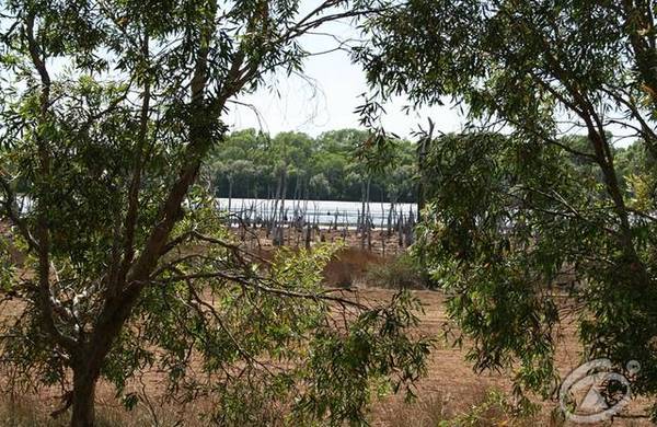 Walk To The Beach Picture 1