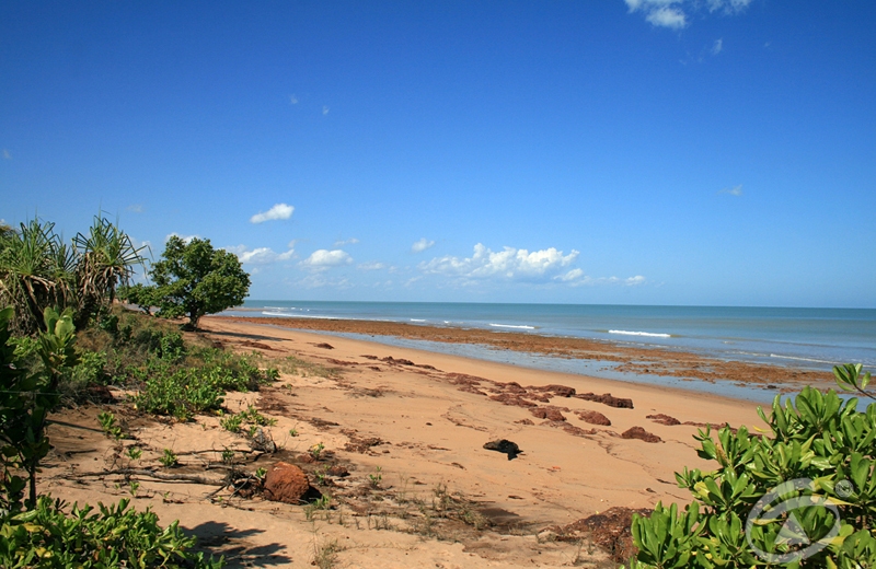 This Is What Dundee Beach Is For! Picture 1