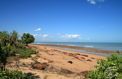 This Is What Dundee Beach Is For! Picture