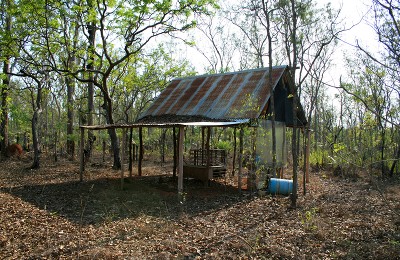 Room To Move Picture