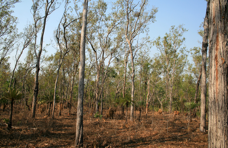 Room To Move Picture 2