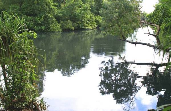 Unique River Frontage Picture 2