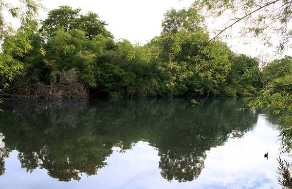 Unique River Frontage Picture 3