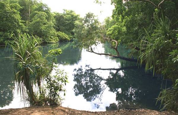 Unique River Frontage Picture 1
