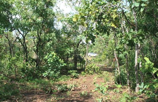 Dundee Beach Picture