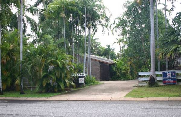 Perfect Starter Picture 2