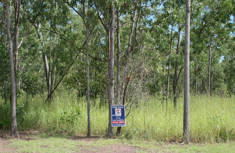 Vacant Land In Paradise! Picture 2