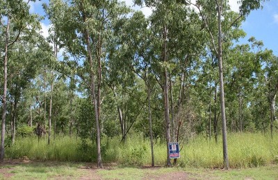 Vacant Land In Paradise! Picture