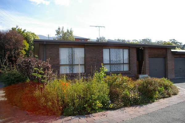 Immaculate Picture 3