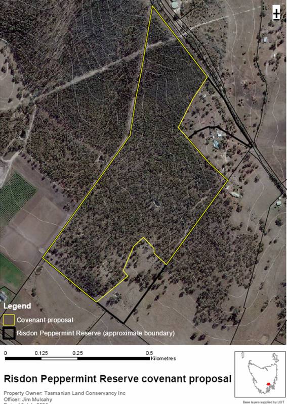 Risdon Peppermint Reserve Picture 3