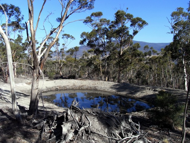 Risdon Peppermint Reserve Picture 2