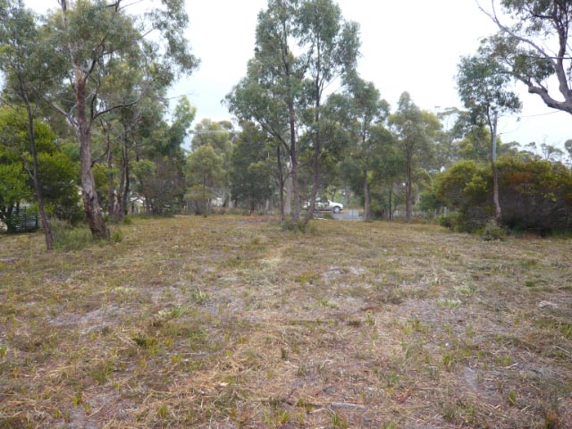 LAND FOR SALE Picture 3