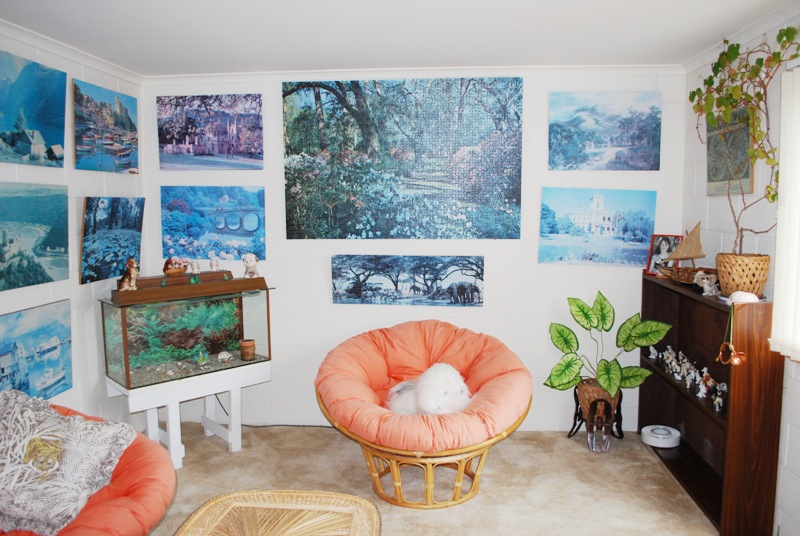 A MUST SEE! Picture 2