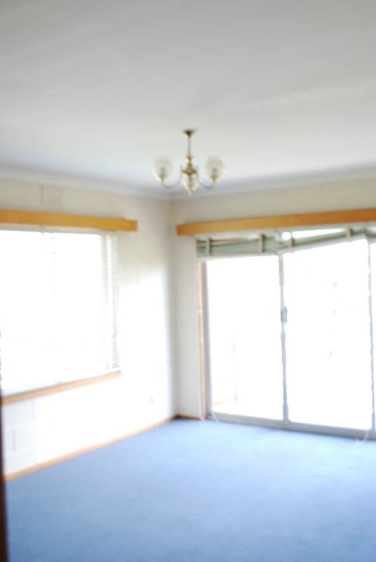 One Bedroom Apartment Picture 1