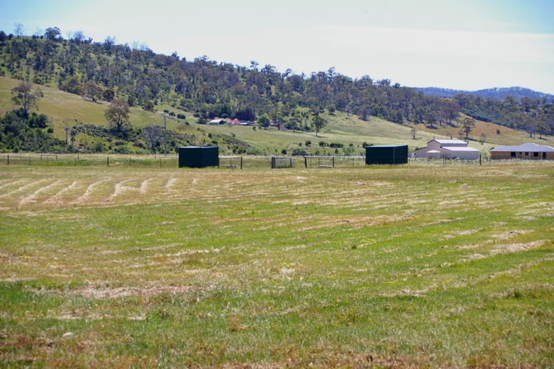 ACREAGE - IDEALLY SUITED FOR HORSES Picture 2