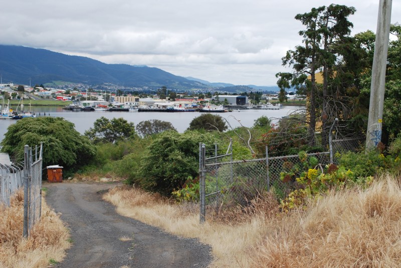 INDUSTRIAL LAND FOR SALE Picture 1