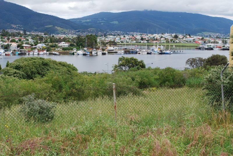 INDUSTRIAL LAND FOR SALE Picture 2